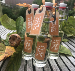 medlar mini landscape copy.jpg