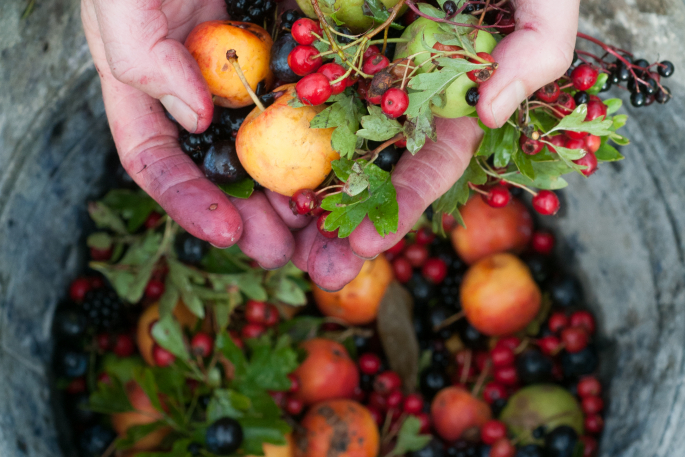 hands and fruit