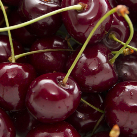cherry fruit