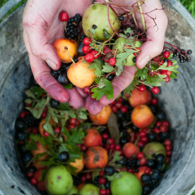 hands and fruit