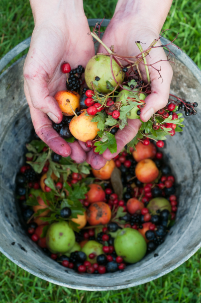 hands and fruit