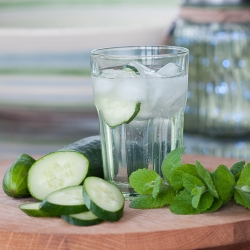 Wild Mint & Cucumber Fizz