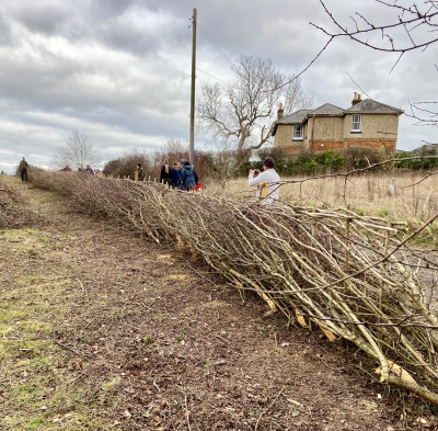 hedge finish