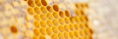 honeycomb.jpg