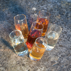 Six Tipsy Wight® Vodka Shot Glasses